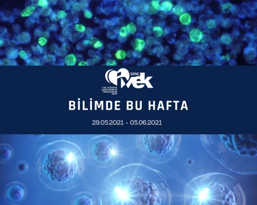 GENÇ İVEK- BİLİMDE BU HAFTA  29.05.2021- 05.06.2021