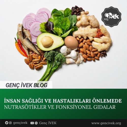 İnsan Sağlığı ve Hastalıkları Önlemede Nutrasötikler ve Fonksiyonel Gıdalar