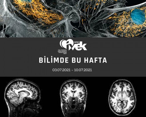GENÇ İVEK- BİLİMDE BU HAFTA  03.07.2021- 10.07.2021