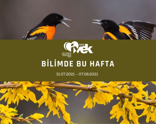 GENÇ İVEK- BİLİMDE BU HAFTA 31.07.2021-  07.08.2021