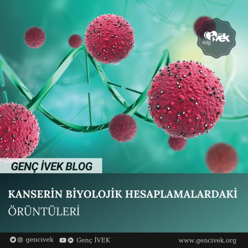 KANSERİN BİYOLOJİK HESAPLAMALARDAKİ ÖRÜNTÜLERİ