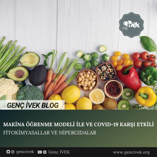 MAKİNA ÖĞRENME MODELİ İLE VE COVID-19 KARŞI ETKİLİ FİTOKİMYASALLAR VE HİPERGIDALAR