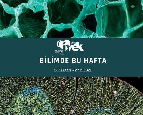 GENÇ İVEK- BİLİMDE BU HAFTA 20.11.2021-27.11.2021