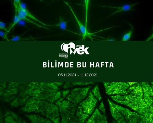 GENÇ İVEK- BİLİMDE BU HAFTA  05.12.2021-11.12.2021