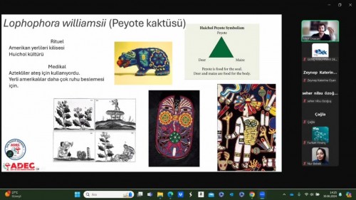 GENÇ İVEK- UYUŞTURUCU İLE MÜCADELE HAFTASI KAPSAMINDA YAPILAN ÖĞRENCİ SUNUMLARI