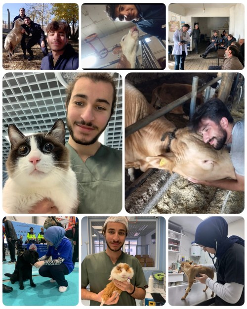 Veteriner Hekimler Günü