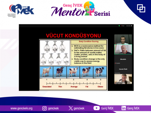 Genç İVEK Mentör Serisi – İkinci Oturumumuzu Gerçekleştirdik!