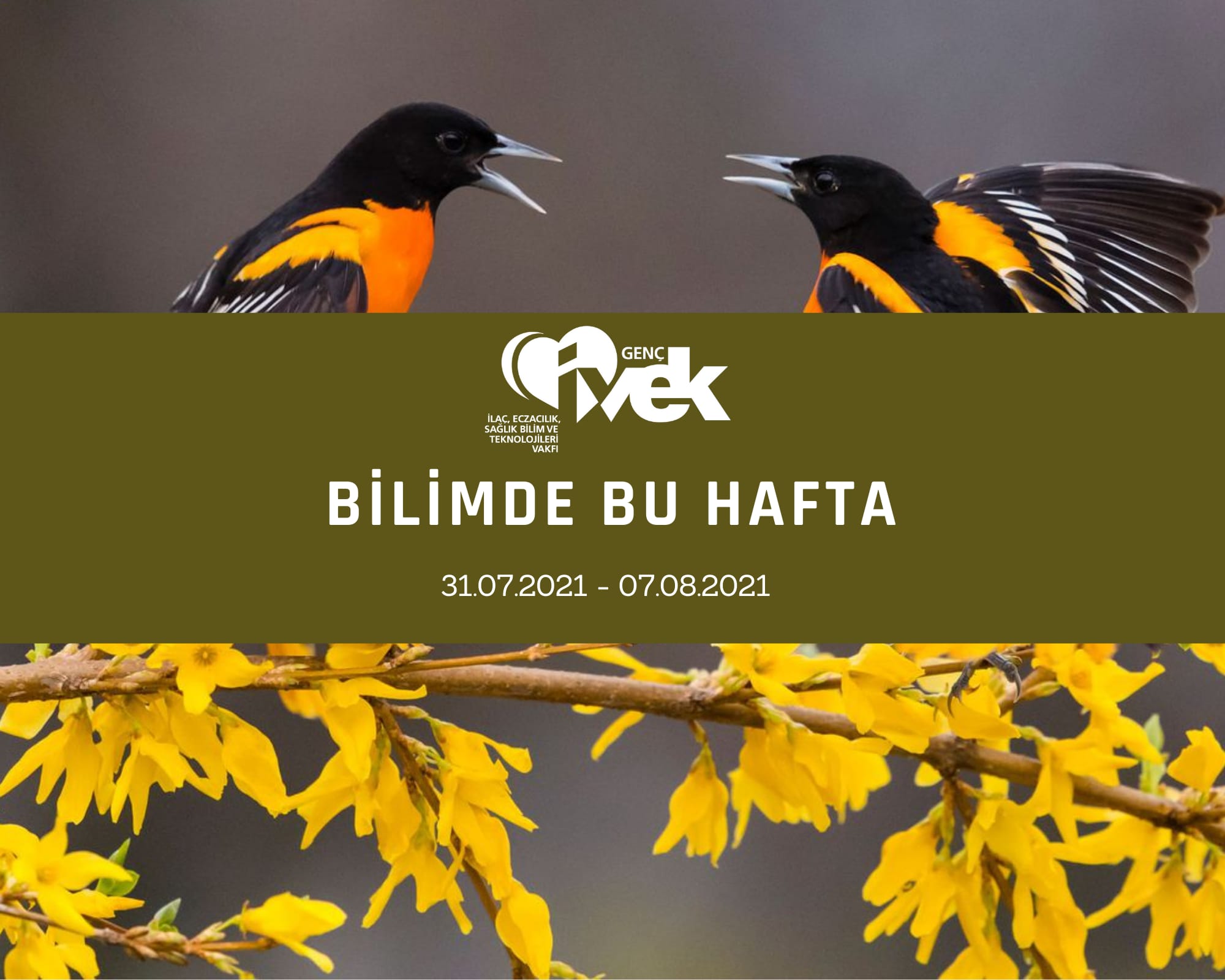  GENÇ İVEK- BİLİMDE BU HAFTA 31.07.2021-  07.08.2021 