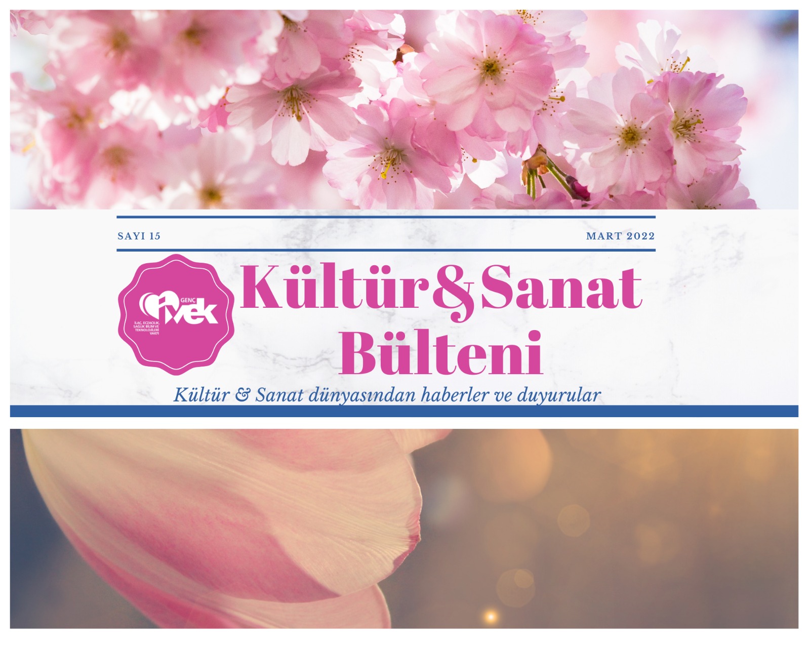  Kültür & Sanat Bülteni-15 