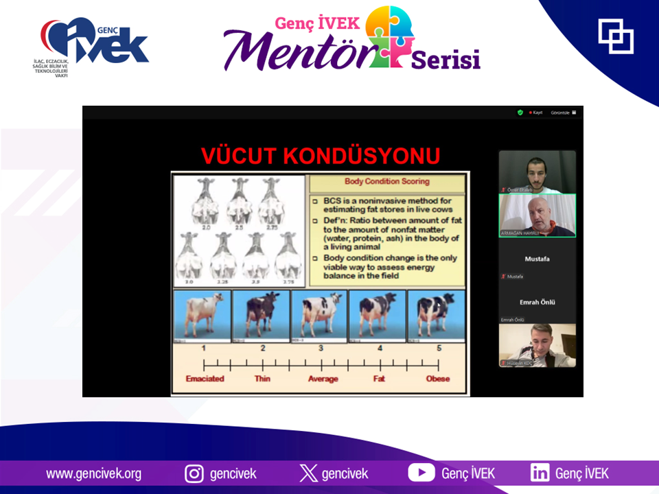  Genç İVEK Mentör Serisi – İkinci Oturumumuzu Gerçekleştirdik! 